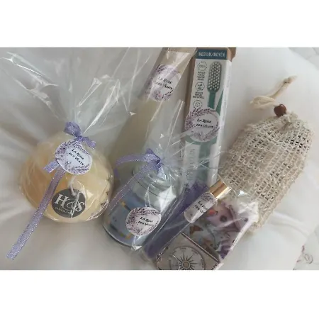 Rose Des Vents 福卡尔基耶